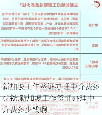 新加坡工作签证办理中介费多少钱,新加坡工作签证办理中介费多少钱啊