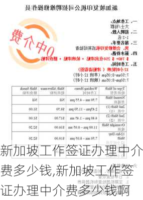 新加坡工作签证办理中介费多少钱,新加坡工作签证办理中介费多少钱啊