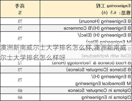 澳洲新南威尔士大学排名怎么样,澳洲新南威尔士大学排名怎么样呀