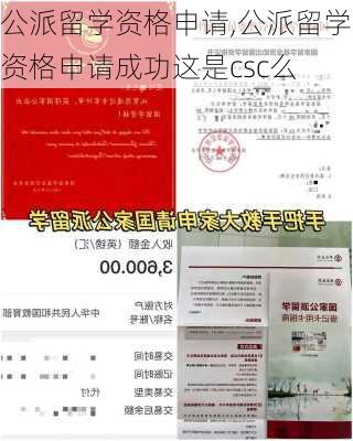 公派留学资格申请,公派留学资格申请成功这是csc么