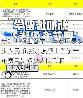 新加坡硕士留学一年费用是多少人民币,新加坡硕士留学一年费用是多少人民币啊