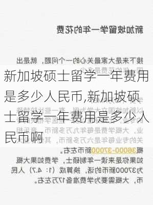 新加坡硕士留学一年费用是多少人民币,新加坡硕士留学一年费用是多少人民币啊