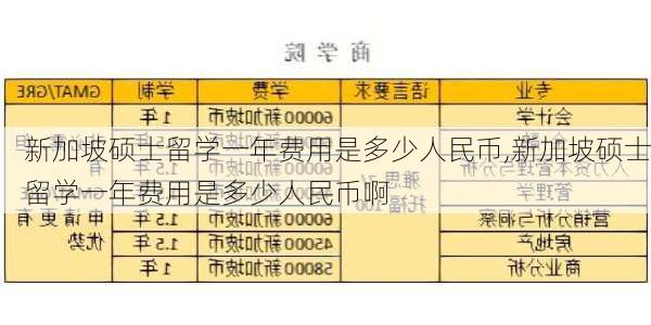 新加坡硕士留学一年费用是多少人民币,新加坡硕士留学一年费用是多少人民币啊