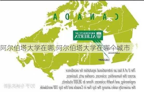 阿尔伯塔大学在哪,阿尔伯塔大学在哪个城市