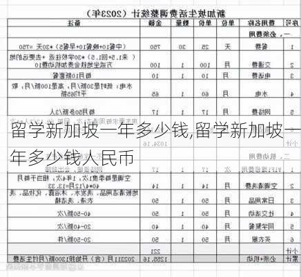 留学新加坡一年多少钱,留学新加坡一年多少钱人民币