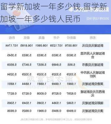 留学新加坡一年多少钱,留学新加坡一年多少钱人民币