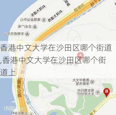 香港中文大学在沙田区哪个街道,香港中文大学在沙田区哪个街道上