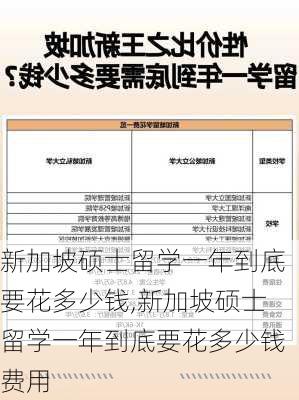 新加坡硕士留学一年到底要花多少钱,新加坡硕士留学一年到底要花多少钱费用