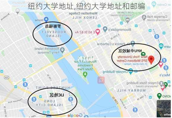 纽约大学地址,纽约大学地址和邮编