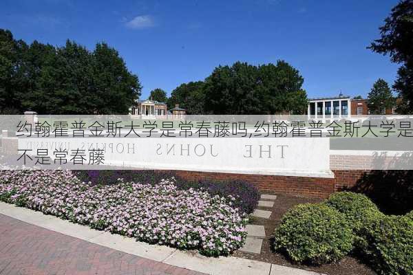 约翰霍普金斯大学是常春藤吗,约翰霍普金斯大学是不是常春藤