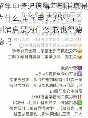 留学申请迟迟得不到消息是为什么,留学申请迟迟得不到消息是为什么 赵也得德德玛