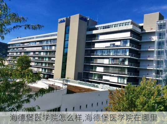 海德堡医学院怎么样,海德堡医学院在哪里