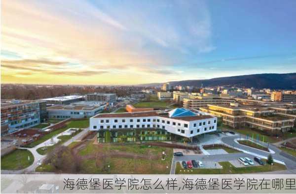 海德堡医学院怎么样,海德堡医学院在哪里