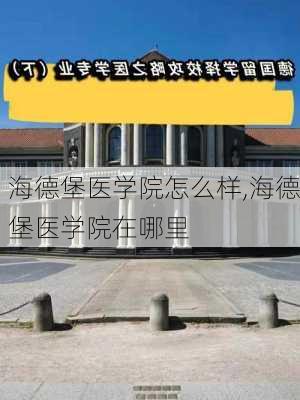 海德堡医学院怎么样,海德堡医学院在哪里