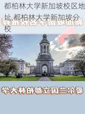 都柏林大学新加坡校区地址,都柏林大学新加坡分校