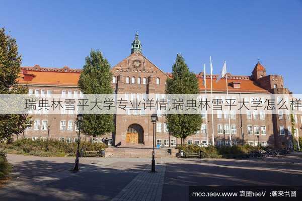 瑞典林雪平大学专业详情,瑞典林雪平大学怎么样