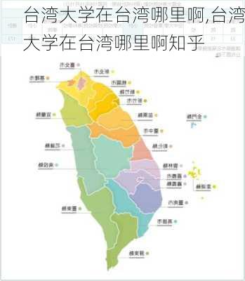 台湾大学在台湾哪里啊,台湾大学在台湾哪里啊知乎