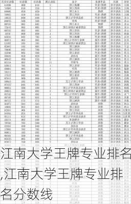 江南大学王牌专业排名,江南大学王牌专业排名分数线