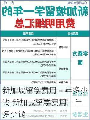 新加坡留学费用一年多少钱,新加坡留学费用一年多少钱