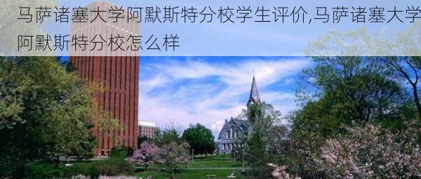 马萨诸塞大学阿默斯特分校学生评价,马萨诸塞大学阿默斯特分校怎么样