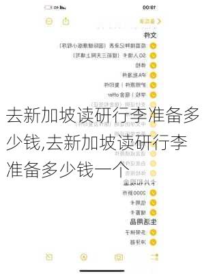 去新加坡读研行李准备多少钱,去新加坡读研行李准备多少钱一个