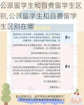 公派留学生和自费留学生区别,公派留学生和自费留学生区别在哪