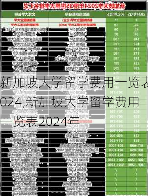 新加坡大学留学费用一览表2024,新加坡大学留学费用一览表2024年