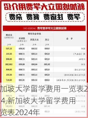 新加坡大学留学费用一览表2024,新加坡大学留学费用一览表2024年