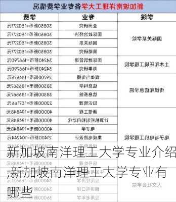 新加坡南洋理工大学专业介绍,新加坡南洋理工大学专业有哪些