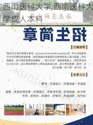 西南医科大学,西南医科大学成人本科