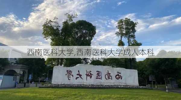 西南医科大学,西南医科大学成人本科