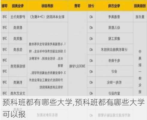 预科班都有哪些大学,预科班都有哪些大学可以报