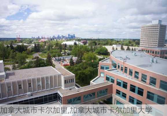 加拿大城市卡尔加里,加拿大城市卡尔加里大学