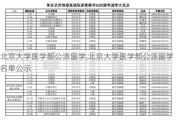 北京大学医学部公派留学,北京大学医学部公派留学名单公示