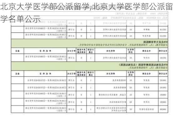 北京大学医学部公派留学,北京大学医学部公派留学名单公示