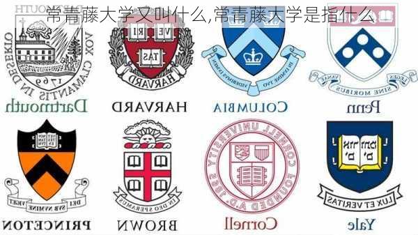 常青藤大学又叫什么,常青藤大学是指什么