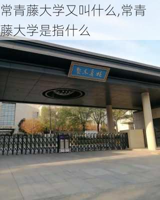 常青藤大学又叫什么,常青藤大学是指什么