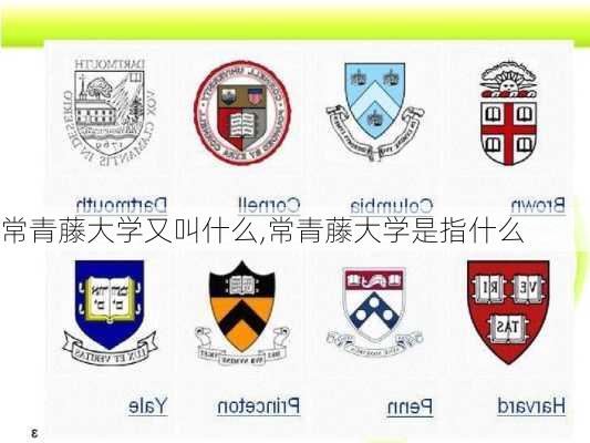 常青藤大学又叫什么,常青藤大学是指什么