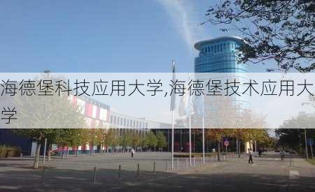 海德堡科技应用大学,海德堡技术应用大学