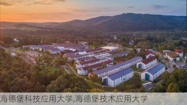 海德堡科技应用大学,海德堡技术应用大学