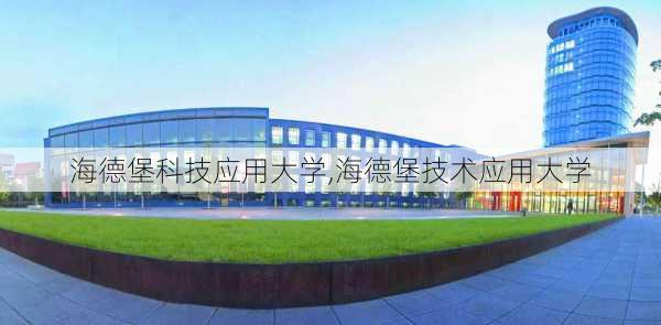 海德堡科技应用大学,海德堡技术应用大学