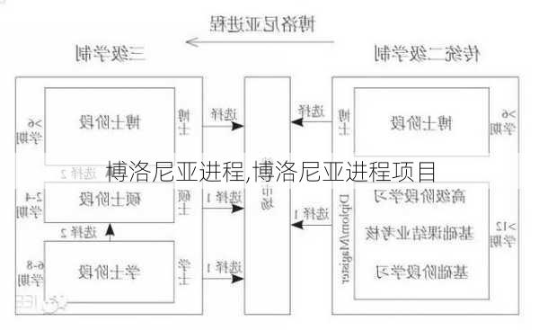 博洛尼亚进程,博洛尼亚进程项目