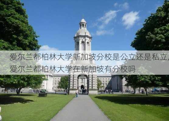 爱尔兰都柏林大学新加坡分校是公立还是私立,爱尔兰都柏林大学在新加坡有分校吗