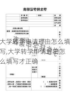 大学转学申请理由怎么填写,大学转学申请理由怎么填写才正确