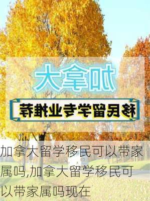 加拿大留学移民可以带家属吗,加拿大留学移民可以带家属吗现在