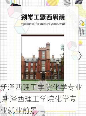 新泽西理工学院化学专业,新泽西理工学院化学专业就业前景