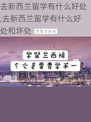 去新西兰留学有什么好处,去新西兰留学有什么好处和坏处