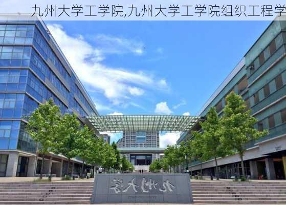 九州大学工学院,九州大学工学院组织工程学