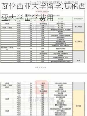 瓦伦西亚大学留学,瓦伦西亚大学留学费用