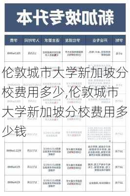 伦敦城市大学新加坡分校费用多少,伦敦城市大学新加坡分校费用多少钱